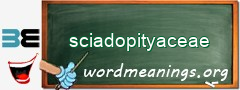 WordMeaning blackboard for sciadopityaceae
